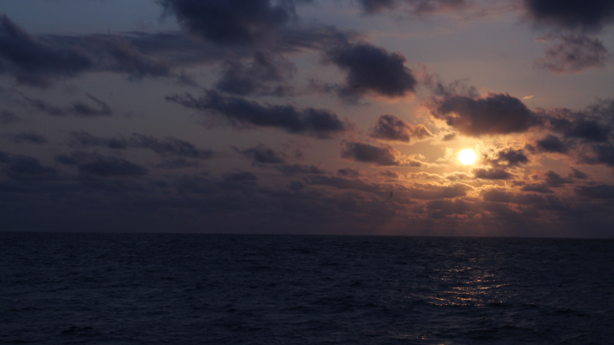 Crossing the tropical Atlantic, on the hunt for zooplankton